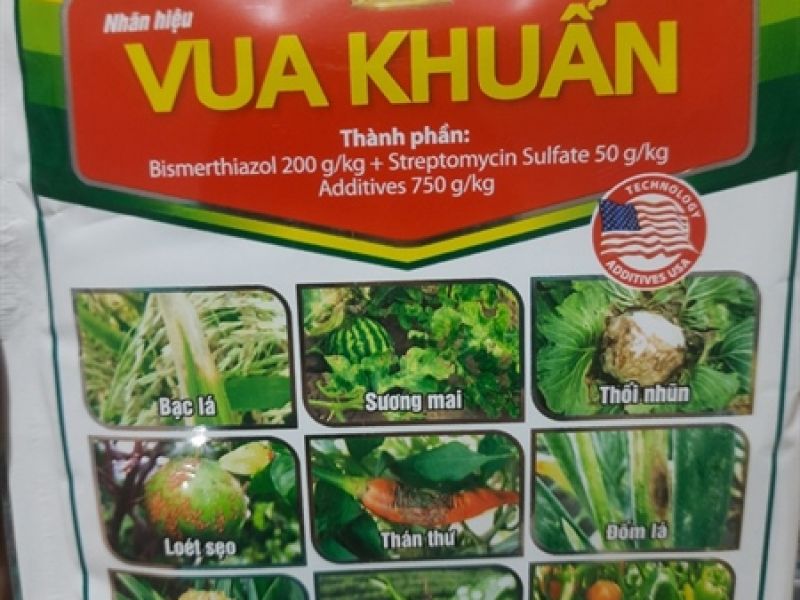 thuốc vua khuẩn 